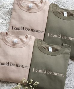 Embroidered I Could Be Meaner Shirt, Spicy Attitude Sweater, Confident Sweatshirt, Funny Parent Sweatshirt, Mean Friend Shirt